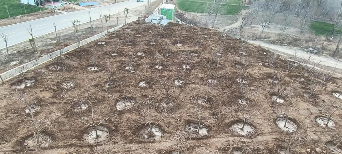 圖片5.png 圖片5.png